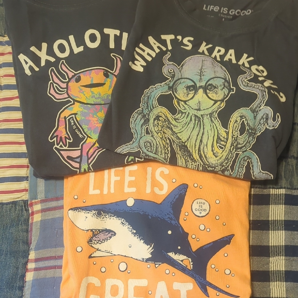 Life Is Good Kids Tees - Two Blue Short Sleeve, One Orange Long Sleeve.